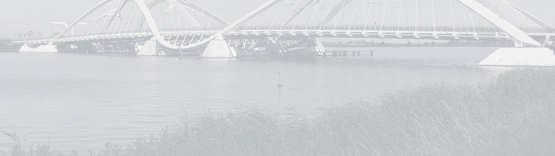 Bg Placeholder 02